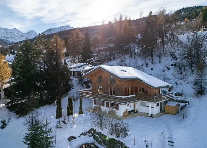 Renard Roux La Tzoumaz